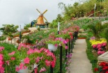 Nam Bộ: Đầu xuân Lễ Phật, Bái Linh Sơn Thánh Mẫu, chiêm ngưỡng Tượng Phật Bà cao nhất châu Á