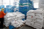 Xuất khẩu gạo năm 2021 vẫn duy trì tín hiệu lạc quan 