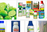 Thông báo của Liên minh châu Âu về sản phẩm bảo vệ thực vật