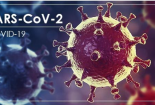 Virus SARS-CoV-2 xuất hiện thêm biến thể, WHO phê duyệt khẩn cấp loại vaccine mới 