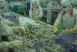 Lo ngại nguy cơ gian lận, giả mạo xuất xứ hàng hóa 
