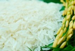 Tạo vị thế vững chắc cho hạt gạo Việt