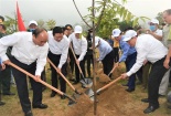 Toyota Việt Nam đồng hành cùng Bộ TN&MT trong Lễ phát động Tết trồng cây Xuân Tân Sửu 2021