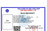 BHXH Việt Nam sẵn sàng cho công tác cấp thẻ BHYT mẫu mới từ ngày 01/4/2021