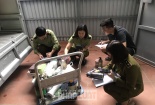 'Đột kích', thu giữ hơn chục nghìn sản phẩm nhãn hiệu BiBop