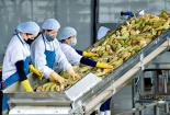 Hiệp định UKVFTA chính thức có hiệu lực từ 1/5/2021