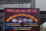 Loạt giao dịch hoa lan đột biến lên tới hàng trăm tỷ gây sốt: Công an lên tiếng cảnh báo