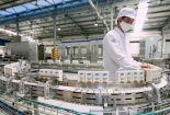 Sẽ có thêm 2 công ty của Việt Nam được xuất khẩu sữa sang Trung Quốc