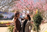 Không ai nghĩ Fansipan có mùa hoa đào đẹp đến như thế này