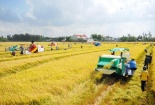 Cảnh báo nguy cơ tai nạn từ sử dụng các loại máy trong sản xuất nông nghiệp
