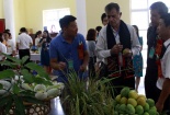 Khoa học, công nghệ và đổi mới sáng tạo địa phương năm 2020: Những kết quả nổi bật