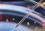 ISO/TS 80004: Tiêu chuẩn quốc tế về công nghệ nano