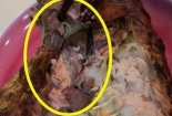 Thực phẩm sạch CleverFood bán cá kho có giòi: Kết luận từ cơ quan quản lý