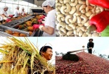Xuất khẩu nhóm nông, lâm, thuỷ sản tăng mạnh trong quý I/2021