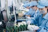  Bình Thuận: Hỗ trợ doanh nghiệp nâng cao năng suất và chất lượng sản phẩm, hàng hóa