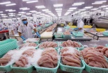 Quy định mới của EU về chứng thư đối với thủy sản xuất khẩu