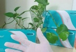 Cảnh báo vấn nạn buôn bán găng tay y tế không rõ nguồn gốc trên chợ mạng 