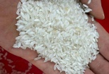 Cảnh báo nguy cơ gạo Việt Nam bị giả mạo xuất xứ