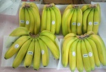 Lâm Đồng: Ra mắt đặc sản chuối Laba sấy dẻo áp dụng công nghệ Nhật Bản
