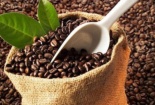 Xuất khẩu cà phê sang Indonesia tăng trưởng mạnh