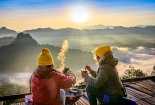 Nhận thức tầm quan trọng của ngành chè với loạt tiêu chuẩn quốc tế