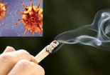 Khói thuốc lá nguy hiểm thế nào trong đại dịch COVID-19