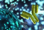 Phát hiện 'vũ khí' mới có khả năng tiêu diệt triệt để virus SARS-CoV-2