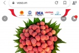 Các sàn thương mại điện tử lớn đồng loạt mở bán vải thiều Bắc Giang