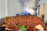 5 điểm mua nông sản Việt xuất xứ rõ ràng, có xác nhận an toàn với COVID-19 tại Hà Nội