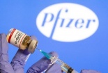 Sẽ tổ chức tập huấn phân biệt vắc-xin chính hãng Pfizer thật, giả 