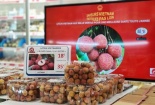 Vải thiều Việt Nam gắn tem truy xuất gia nhập thị trường Pháp: Đi trước, đón đầu xu thế tiêu dùng mới