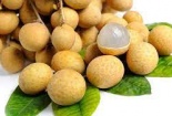 Từ 15/7, nhãn lồng Hưng Yên 'lên sàn' thương mại điện tử