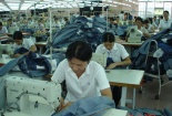 Bảo hiểm Xã hội triển khai chính sách hỗ trợ người lao động, người sử dụng lao động