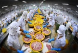 Tháo gỡ khó khăn, cải thiện xuất khẩu cá tra sang thị trường EU