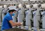 Quảng Ngãi: Năm 2025, ít nhất 10 DN xây dựng mô hình điểm về phong trào năng suất chất lượng