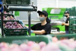 Tăng trưởng kinh tế toàn cầu trong năm 2021 dự báo đạt mức 6%