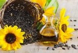 Sử dụng dầu hướng dương thế nào để đảm bảo sức khỏe người dùng