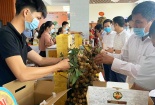 Nhãn lồng Hưng Yên chính thức được xuất khẩu sang thị trường Singapore