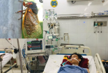 Cảnh báo- Mùa hè tránh bắt ve sầu về 'nhậu' vì nguy cơ sốc phản vệ, tử vong