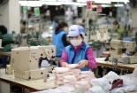 Tây Ninh: Hỗ trợ doanh nghiệp xây dựng, áp dụng mô hình, công cụ cải tiến NSCL