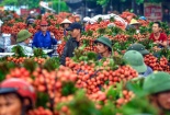 Đắk Lắk kêu gọi hỗ trợ tiêu thụ nông sản cho người nông dân