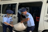 Buôn bán, vận chuyển trái phép đường nhập ngoại diễn biến phức tạp