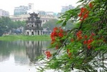 Thông tin 'không cho người dân di chuyển trong 7 ngày' là giả mạo