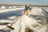 Ban hành Quy chuẩn kỹ thuật quốc gia đối với muối thực phẩm và muối tinh