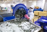 Dự báo xuất khẩu thuỷ sản tiếp tục giảm trong tháng 9 do ảnh hưởng dịch Covid-19