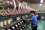 Chính sách miễn, giảm thuế: ‘Phao cứu sinh’ hỗ trợ doanh nghiệp