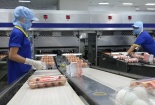Khó khăn bủa vây doanh nghiệp khi trở lại hoạt động trong tình cảnh còn dịch