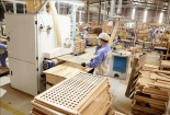 Doanh nghiệp gỗ hoạt động cầm chừng, xuất khẩu gỗ liên tục giảm sút