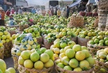Thúc đẩy sản xuất, lưu thông nông sản trong bối cảnh dịch Covid-19