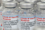 Vật thể lạ trong vaccine Moderna của Nhật Bản là do lỗi trong dây chuyền sản xuất